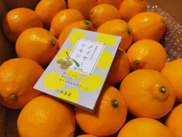 『今年も極上の国産メイヤーレモンが届きました！』✨🍋✨